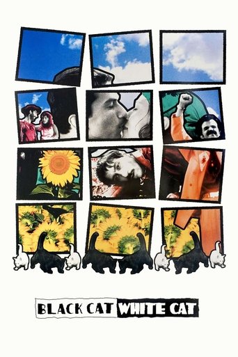 Watch Black Cat, White Cat 1998 poster