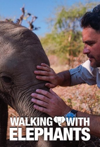 Watch Walking with Elephants 2020 poster