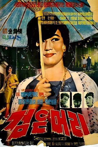 Watch Black Hair 1964 poster