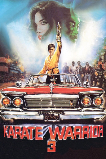 Watch Karate Warrior 3 1991 poster