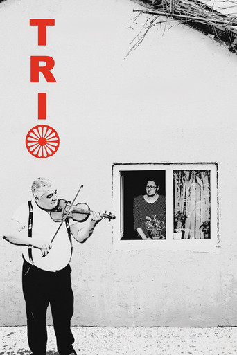 Watch Trio 2020 poster