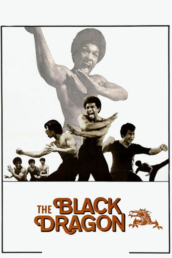 Watch The Black Dragon 1974 poster