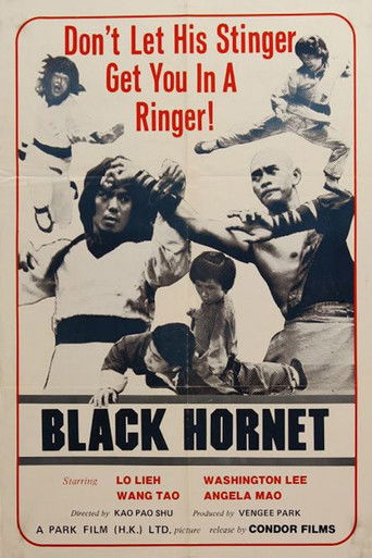 Watch Black Hornet 1977 poster