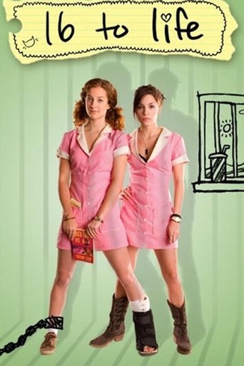 Watch 16 to Life 2009 poster