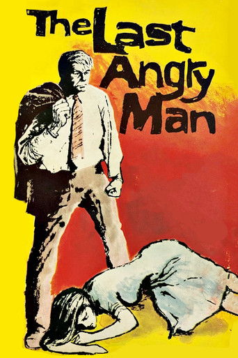 Watch The Last Angry Man 1959 poster