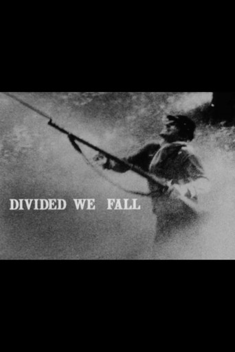 Watch Divided We Fall 1982 poster