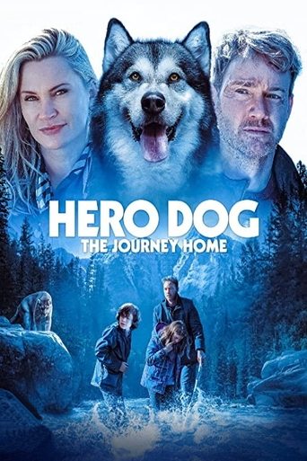 Watch Hero Dog: The Journey Home 2021 poster