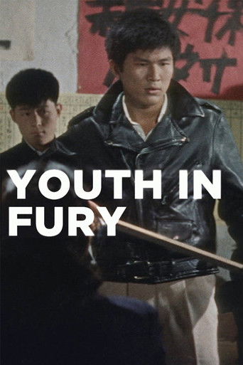 Watch Youth in Fury 1960 poster