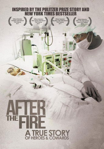 Watch After the Fire 2011 poster