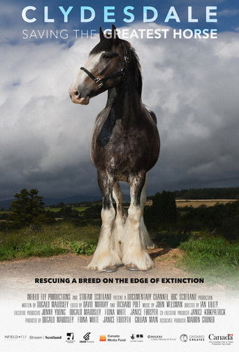 Clydesdale: Saving the Greatest Horse 2020