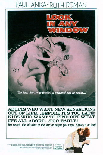 Watch Look in Any Window 1961 poster