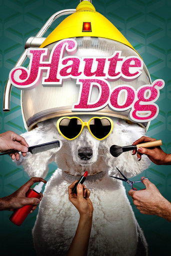 Watch Haute Dog 2020 poster