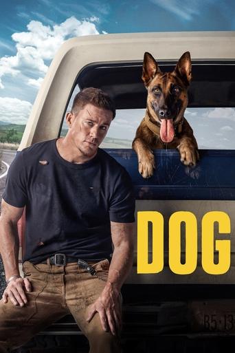 Watch Dog 2022 poster