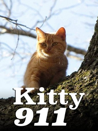Watch Kitty 911 2016 poster