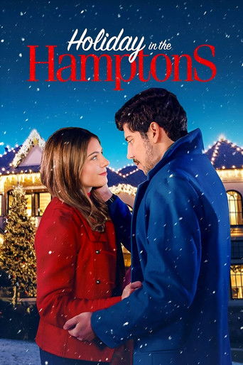 Watch Holiday in the Hamptons 2024 poster