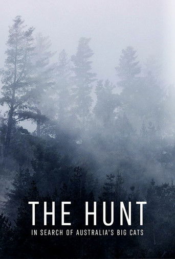 Watch The Hunt: In Search of Australia's Big Cats 2021 poster