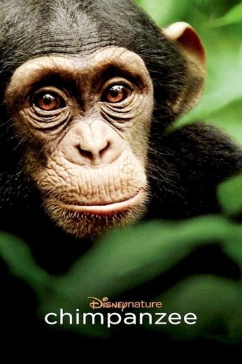 Watch Chimpanzee 2012 poster