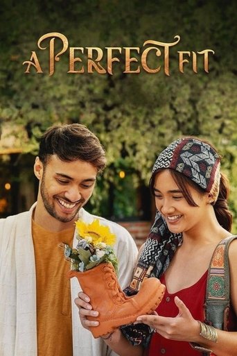 Watch A Perfect Fit 2021 poster