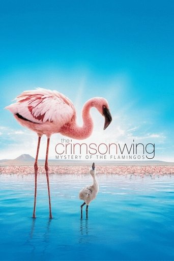 Watch The Crimson Wing: Mystery of the Flamingos 2008 poster