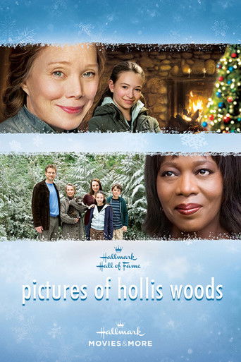 Watch Pictures of Hollis Woods 2007 poster