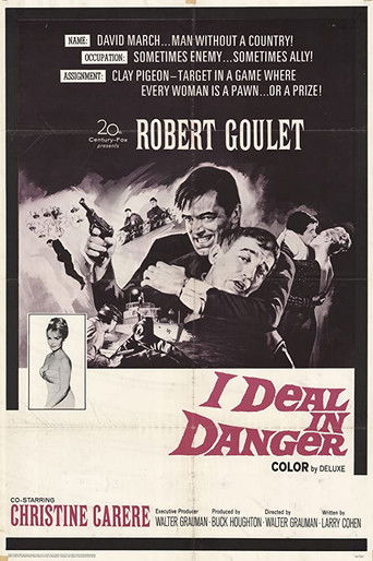 Watch I Deal In Danger 1966 poster